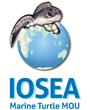IOSEA Marine Turtles