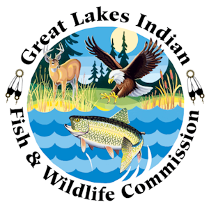 Great Lakes Indian Fish and Wildlife Commission (GLIFWC)