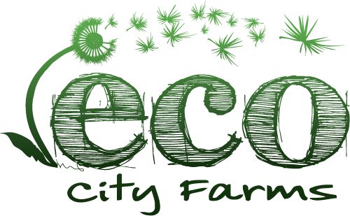 Eco City Farms