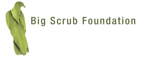 Big Scrub Foundation Ltd