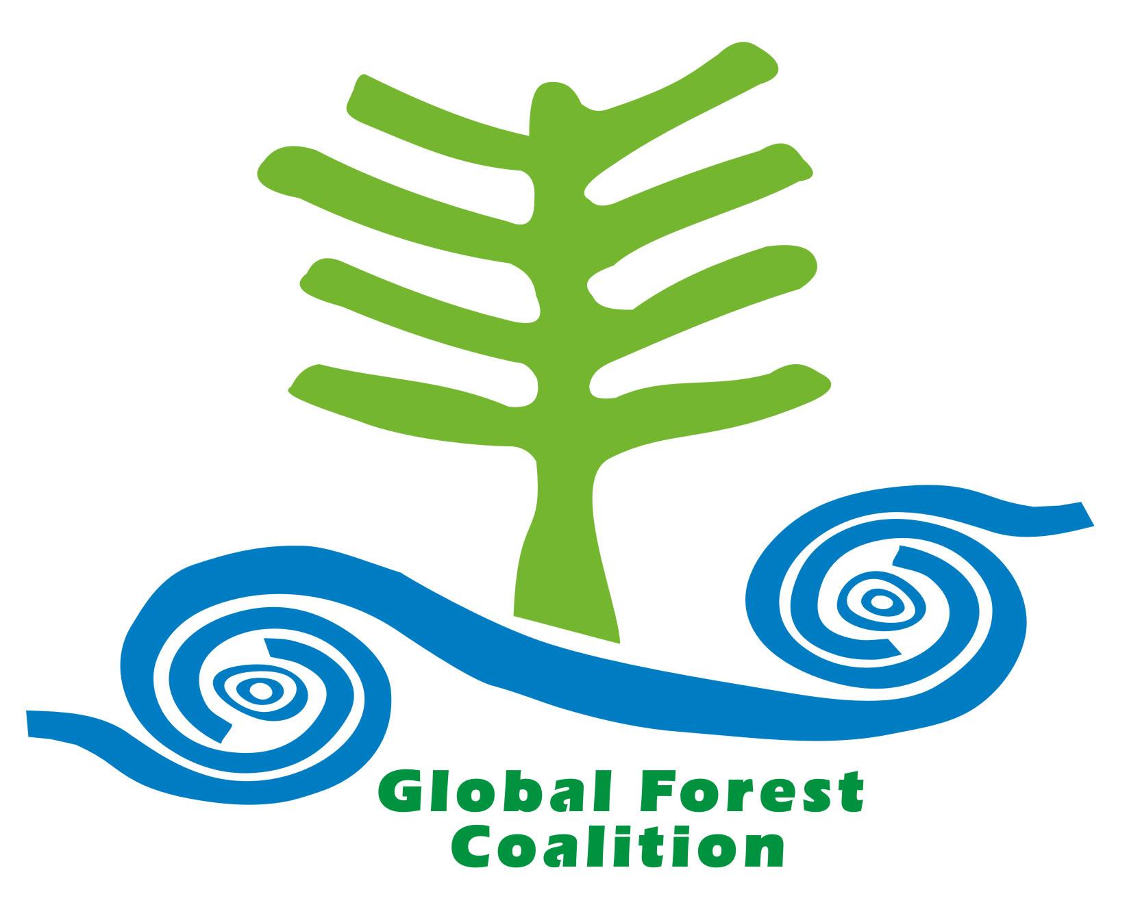 Global Forest Coalition Paraguay