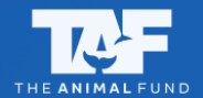 TAF