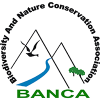 BirdLife Myanmar (Biodiversity And Nature Conservation Association)