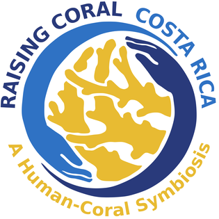 Raising Coral Costa Rica