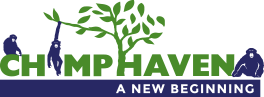 Chimp Haven