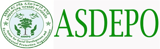 Action for Social Development and Environmental Protection Organization (ASDEPO)