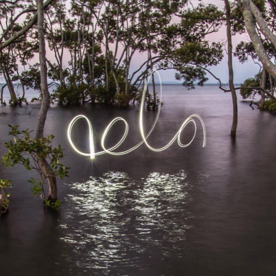 Australian Earth Laws Alliance Ltd