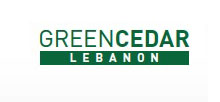 Green Cedar Lebanon