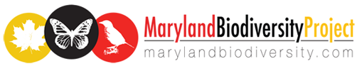 Maryland Biodiversity Project
