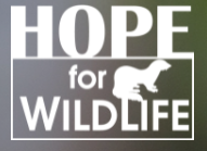 Hope For Wildlife