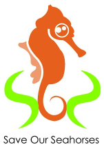 Save Our Seahorses (SOS) Malaysia