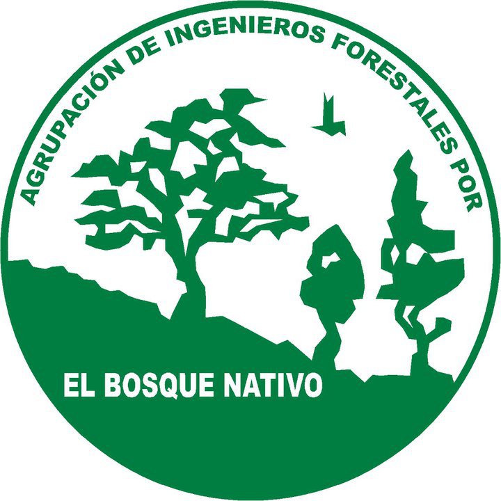 ONG forestales por el bosques nativo