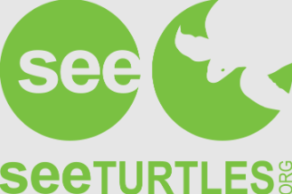 SEE turtles
