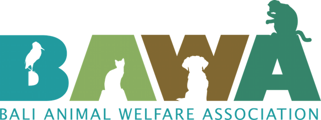 Bali Animal Welfare Association (BAWA)