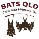 Bats Qld (Flying Foxes & Microbats) Inc