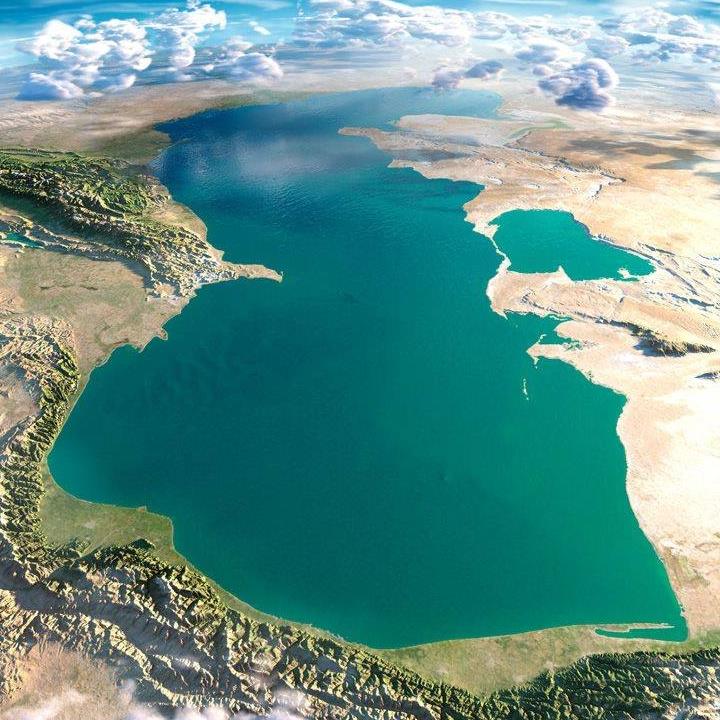 Batıs EKO Korgau