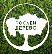 Posadiderevo.kz