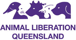 Animal Liberation Queensland