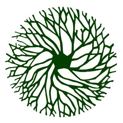 The Providence Neighborhood Planting Program (PNPP)