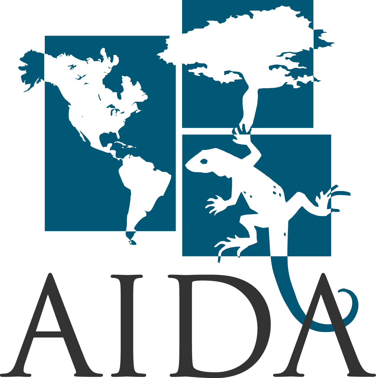 AIDA