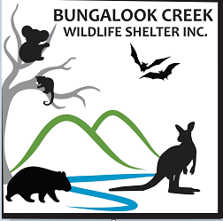 Bungalook Creek Wildlife Shelter Inc