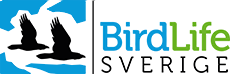 BirdLife Sverige