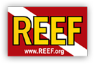 Reef Environmental Education Foundation
