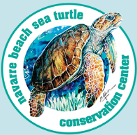Navarre Beach Sea Turtle Conservation Center