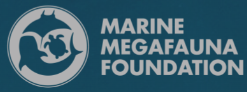Marine Megafauna Foundation