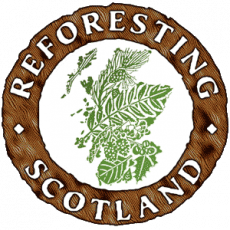 Reforesting Scotland