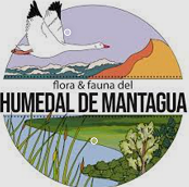 Investigación - Humedal de Mantagua