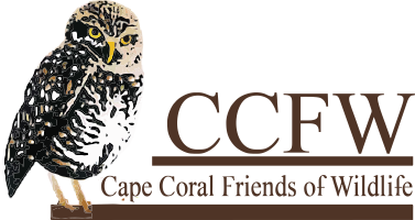 Cape Coral Friends of Wildlife 
