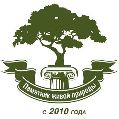 Деревья — памятники живой природы