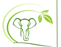 Conserve Natural Forest