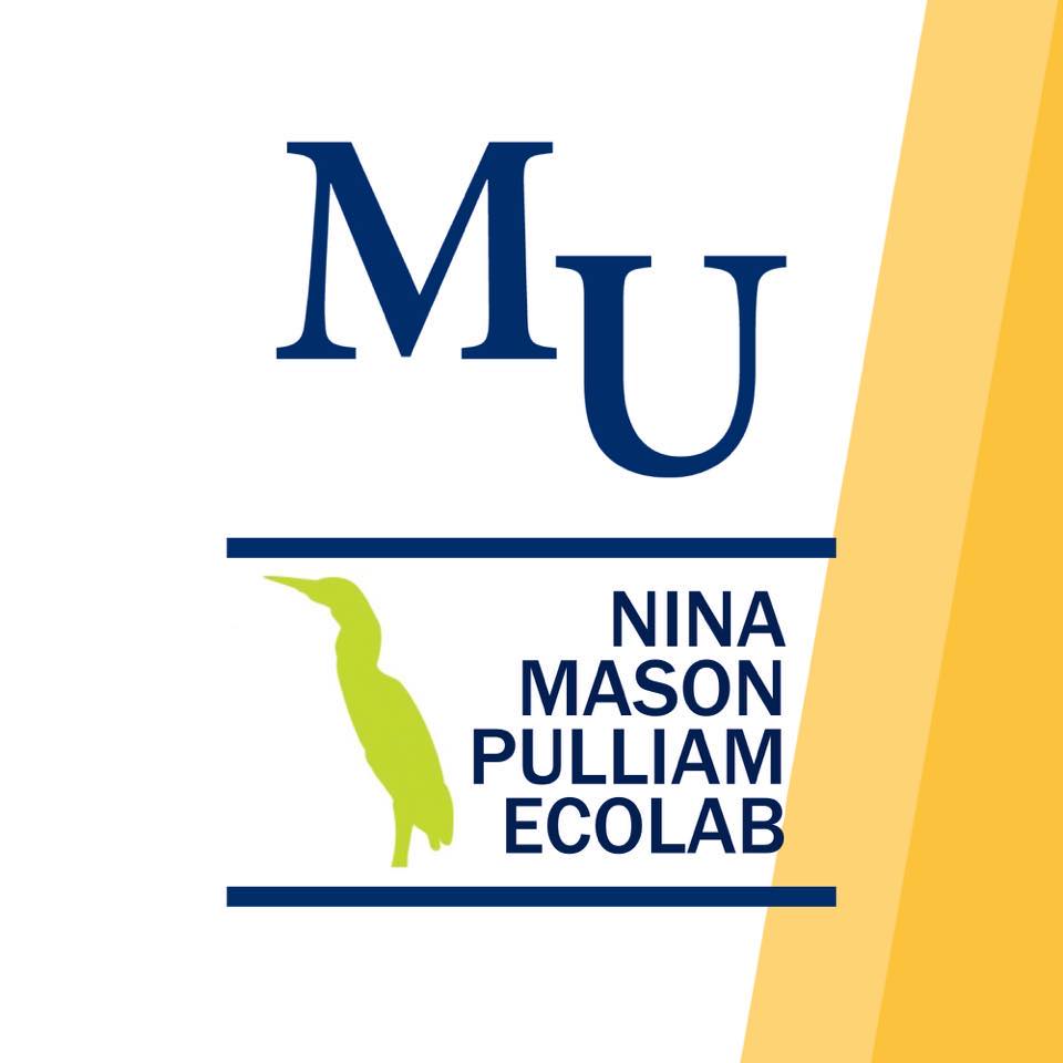 Nina Mason Pulliam EcoLab