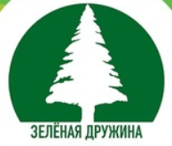 Зеленая дружина