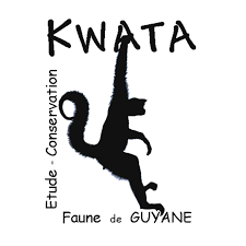kwata