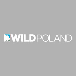 Wild Poland