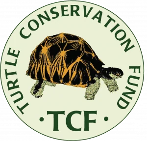 Turtle Conservation Fund