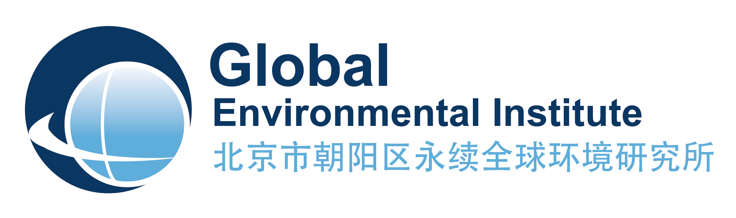 Global Environmental Institute