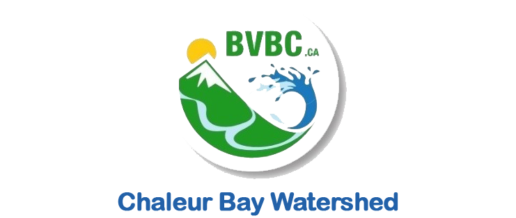 Chaleur Bay Watersheds Group