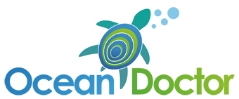Ocean Doctor