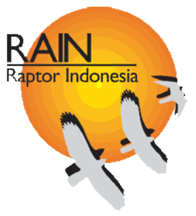 RAIN (Raptor Indonesia)