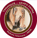 Tamanduá Grupo Fauna UNVM