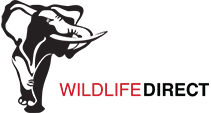 WildlifeDirect