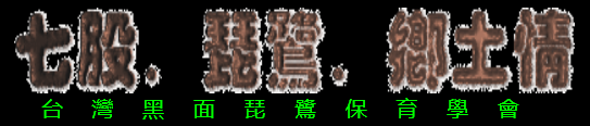 Taiwan Black-Faced Spoonbill Conservation Association