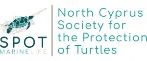 Marine Turtle Conservation Project