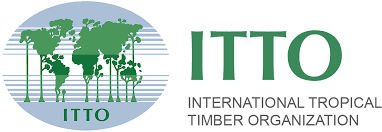 International Tropical Timber Organization (ITTO)