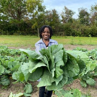 Marshview Community Organic Farm