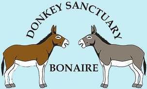 Donkey Sanctuary Bonaire